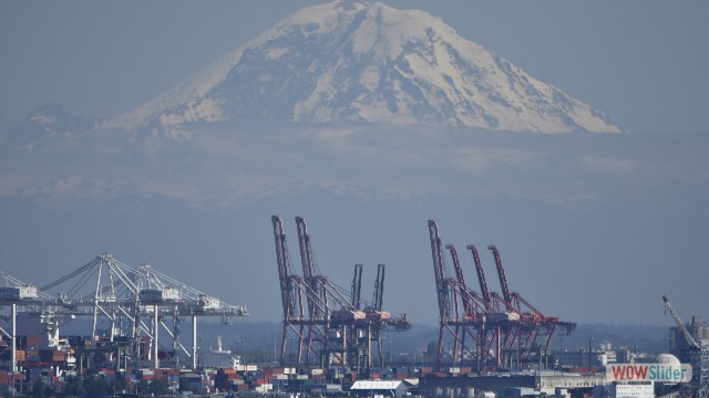 seattle7